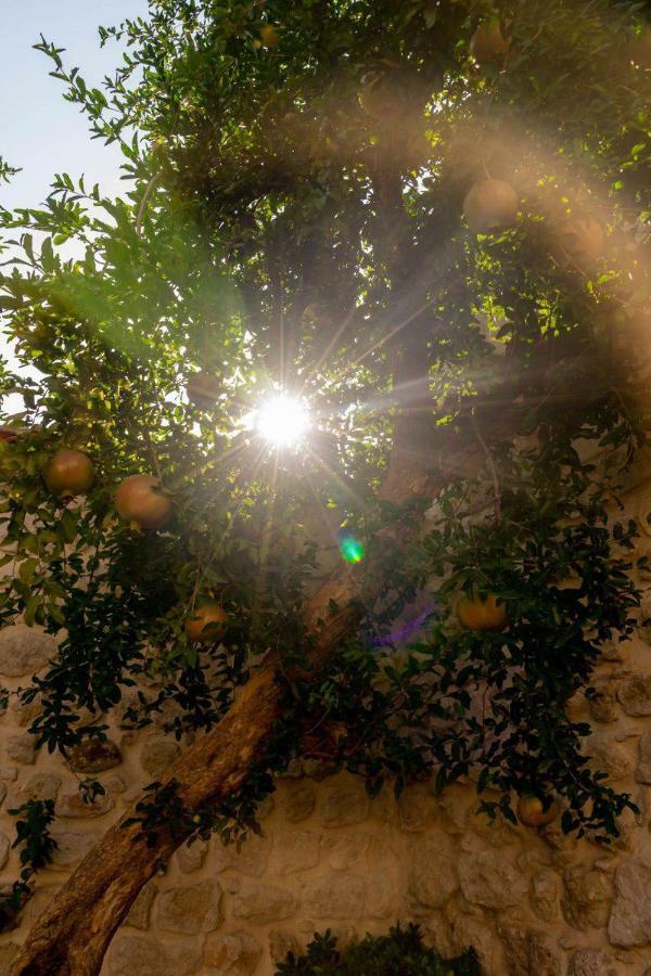 Yesil Ev Cafe & Boutique Hotel HATAY Exteriér fotografie
